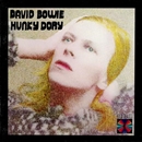 Hunky Dory