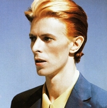 thin white duke1